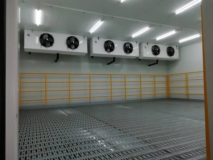 خدمات التجميد